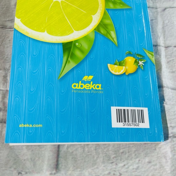 On The Bright Side 3I Reader Abeka 3rd Grade - Picture 9 of 11